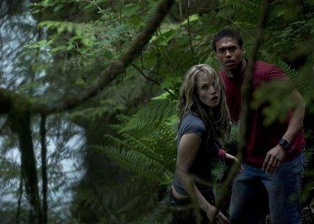 wrong turn 2. CRAZY: Wrong Turn 2 - DVD RIP